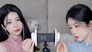 ASMR 간지럽고 자극적인 쌍둥이들의 네가지 면봉 귀청소 / 양쪽 동시 & 좌 우 구분 / Twin Ear Cleaning ( INTENSE ) tingle party / 1시간