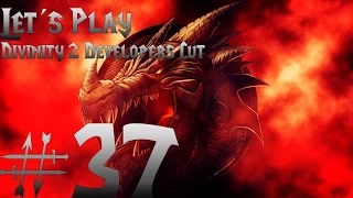 Let´s Play Divinity 2 Developers Cut [Ego Draconis] #37 - Raze