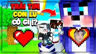 Siro và Mèo Simmy Thử Thách 24 Giờ Đột Nhập Vào Trái Tim Thích Và Ghét Của Con Lu Trong Minecraft