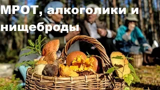 МРОТ, алкоголики и нищеброды