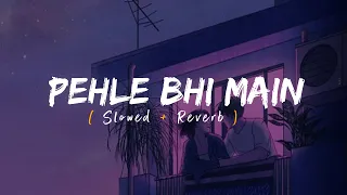 Pehle Bhi Main (Slowed + Reverb) | Vishal Mishra | Animal