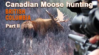 Moose Hunting in British Columbia (2/2) // Chasse à l'Elan en Colombie Britannique (2/2) // 2020