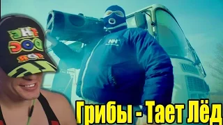 Грибы - Тает Лёд  ► РЕАКЦИЯ