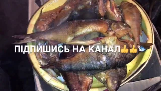 Підводне полювання на різних річках, відео з декількох охот