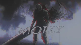 Berserker Armor「Animation 」~ Molly