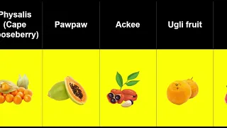 List of Fruits in English - Kopykat