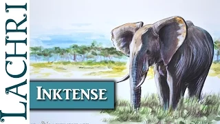 Derwent Inktense African Elephant painting demo w/ Lachri