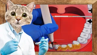 🐱Sleepy Cat Dental Clinic (Sub ✔)｜Handmade Pop-up book ASMR｜Roleplay