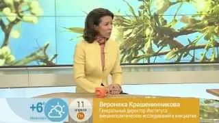 В. Крашенинникова о ситуации на Юго-Востоке Украины