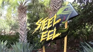 Steel Eel Review SeaWorld San Antonio Roller Coaster