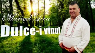 Maricel Leca - dulce-i vinul