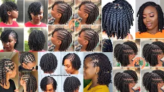 Best Natural Twist Braids Hairstyles | Twist Braids Hairstyles for Natural Hair | Black Hair