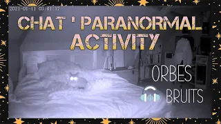 Je me FILME toute la NUIT 🌜avec Iris 🐱 |  Chat'Paranormal Activity