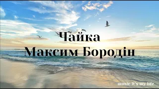 Максим Бородін - Чайка (Lyrics)