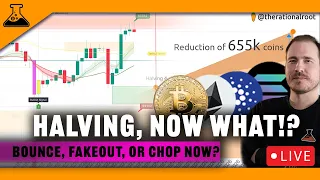 Bitcoin CRASH BOUNCE, Up now?  Halving TODAY + BTC & Altcoin Prices Action Prediction