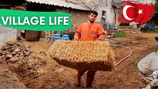 A Day The Life Of Turkish Farmerlife  || Turkish village life