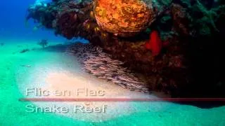 Diving Mauritius HD