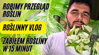 🌿 ROŚLINNY VLOG 🌿 Najwieksza głupota, jaką zrobiłem 🙈/OBI/ Aktualizacje moich roślin doniczkowych ☺️