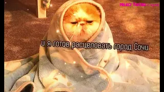 Футажи из тик тока.Песни из тик тока футажи