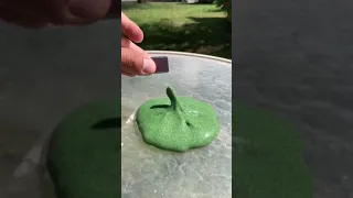 Edible slime that you can actually buy at the store!