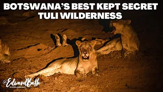 BOTSWANA'S BEST KEPT SECRET | TULI WILDERNESS |  AFRICA'S BEST SIGHTINGS