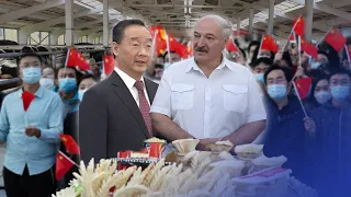 Китайцы захватывают белорусские колхозы / Новинки