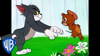 Tom y Jerry en Latino | ¡Corre, Jerry, corre! | WB Kids