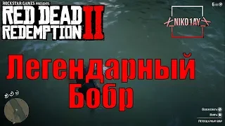 Red Dead Redemption 2 Легендарный Бобр