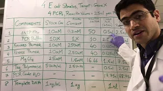 How To: PCR Calculations