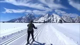 XC Skiing, Grand Teton National Park, Park Road