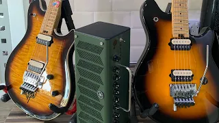 Part 1: My Peavey Wolfgang USA Standard and Special Comparison- Look & differences (EVH Van Halen)