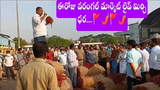 May 2, 2024ఈరోజు వరంగల్ తేజ మిర్చి జెండా ధర 🚩🌶️🚩🌶️?warangal Market mirchi jenda rate...