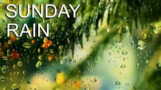 8 Hours Gentle Rain Sounds | Nature Sounds to Relax | Relaxing Rain View for Stress Relief