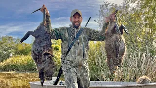 Hunting Giant SWAMP RATS To Eat for Dinner (CATCH AND COOK)