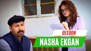 NASHA EKGAN DEXQON - Qalampir hajviy ko'rsatuv