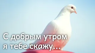 ❤️❤️❤️ПОЖЕЛАНИЕ НА ВЕСЬ ДЕНЬ❤️❤️❤️ С Добрым Утром Хорошего Дня. Доброе Утро! СТИХ