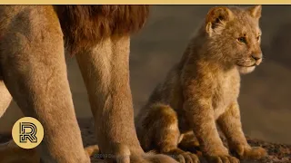 The Rookies - MPC The Lion King VFX Breakdown