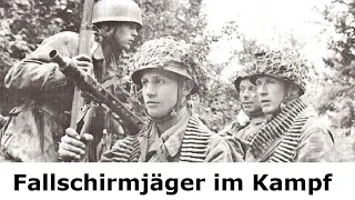 Von der Ostfront bis nach Monte Cassino / Tagebuch eines Fallschirmjägers / Teil 2