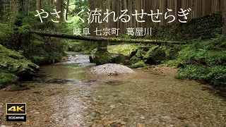 4K video + natural environmental sounds ASMR Stream flowing gently in the forest