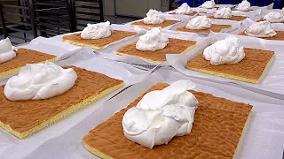 롤케이크 공장 Mass production! Cream Bomb Roll Cake Making Process - Korean cake factory