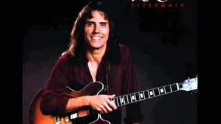 Larry Carlton - You Gotta Get It While You Can [Audio HQ]