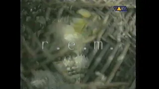 Quench - Dreams (Viva TV Germany 1997)