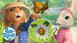 ​@OfficialPeterRabbit- #Spring Has Sprung 🌸🎵🌸 | First Butterfly of the Year! 🦋 | Cartoons for Kids