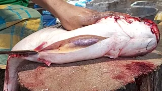 Amazing Big Pangas Fish Cutting Skills Live In Bangladesh Fish Market