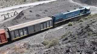 🇦🇷👷‍♂️Trenes Argentinos Cargas 9017🎬👷‍♂️