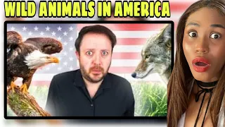 8 Wild Animals I Only Encountered After Moving to America | Reaction