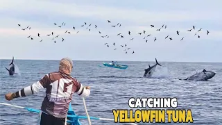 Amazing Fastest Giant Yellowfin Tuna Fishing Skill - Matinding Hilahan | Jackpot