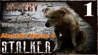 Misery 2.1.1+STCoP Weapon pack+Absolute Nature 4 #1 Боль и страдания.