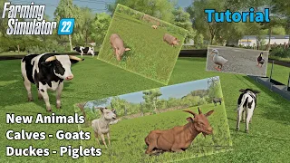 Tutorial : How to ADD New Animals ( Calves - Piglets - Bulls - Ducks... ) in Farming Simulator 22