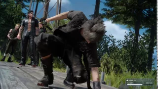 Noctis gets roasted